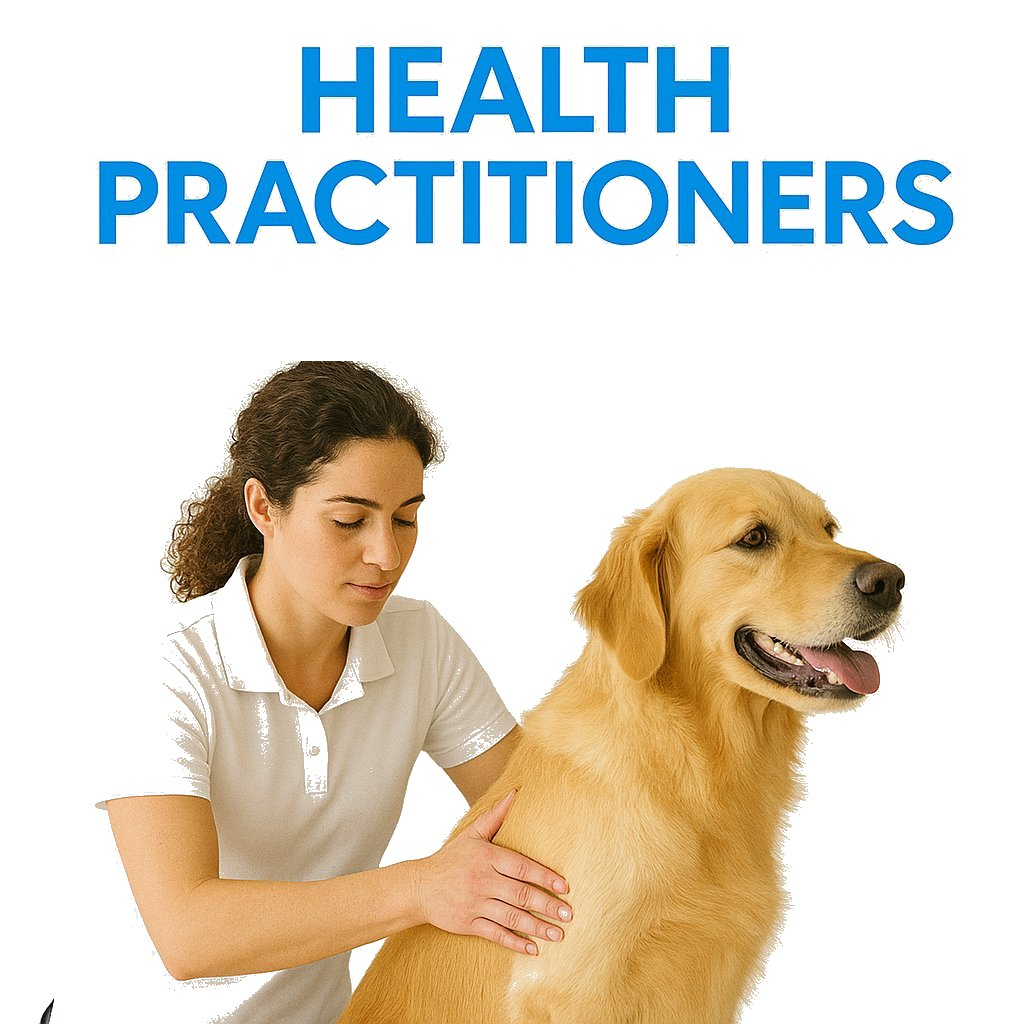 HEALTH PRACTITIONERS