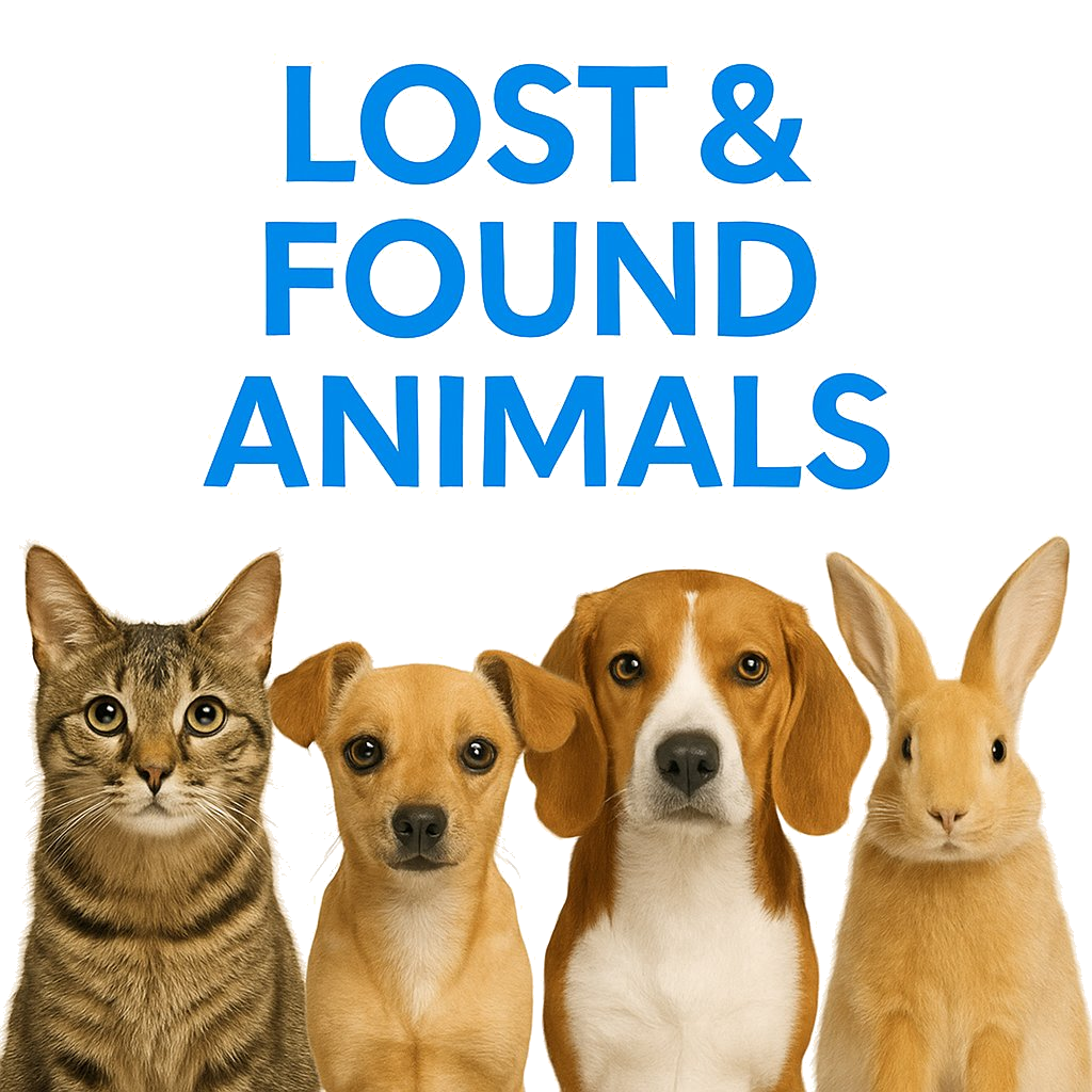 Lost and found animals
